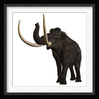 Woolly Mammoth Framed Print