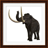 Woolly Mammoth Fine Art Print