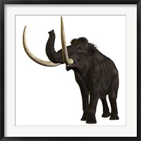 Woolly Mammoth Framed Print