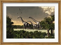 Brachiosaurus dinosaurs walk through a forested area Fine Art Print