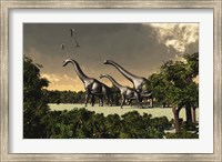 Brachiosaurus dinosaurs walk through a forested area Fine Art Print