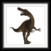 Suchomimus, a large spinosaurid dinosaur Framed Print