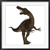 Suchomimus, a large spinosaurid dinosaur Framed Print