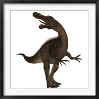 Suchomimus, a large spinosaurid dinosaur Framed Print