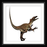 Artist's concept of a Utahraptor Framed Print