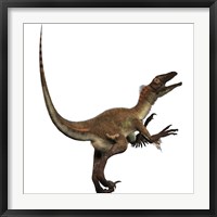 Artist's concept of a Utahraptor Framed Print