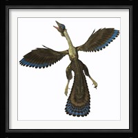 Archaeopteryx, known as one of the earliest prehistoric birds Framed Print