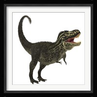 Tyrannosaurus Rex, a large predatory beast of the Cretaceous period Framed Print
