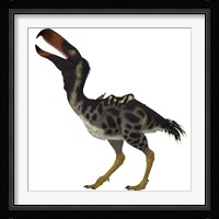 Kelenken is an extinct genus of giant flightless predatory birds Framed Print