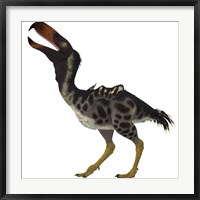 Kelenken is an extinct genus of giant flightless predatory birds Framed Print