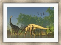 Spinophorosaurus dinosaurs grazing the inhabited swamps of the Jurassic period Fine Art Print