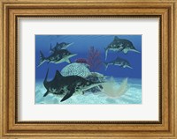 A group of large Ichthyosaurus marine reptiles swimming in prehistoric waters Fine Art Print