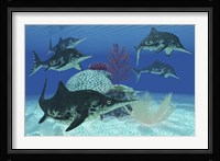 A group of large Ichthyosaurus marine reptiles swimming in prehistoric waters Fine Art Print