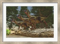 A group of herbivorous Hypsilophodon dinosaurs Fine Art Print