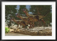 A group of herbivorous Hypsilophodon dinosaurs Fine Art Print