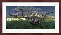 Apatosaurus dinosaurs roam the wilderness of prehistoric times Fine Art Print