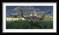 Apatosaurus dinosaurs roam the wilderness of prehistoric times Framed Print