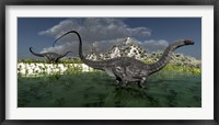 Apatosaurus dinosaurs roam the wilderness of prehistoric times Fine Art Print