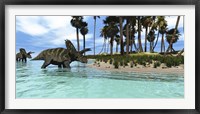 Two Coahuilaceratops dinosaurs wade through tropical waters Framed Print