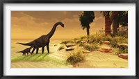 A mother Brachiosaurus Dinosaur and her offspring Framed Print