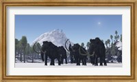A herd of Woolly Mammoths migrate to a warmer climate in the Pleistocene Age Fine Art Print