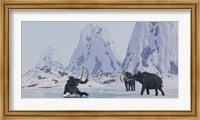 A Woolly Mammoth struggles for survival as he falls through ice on a frozen lake Fine Art Print