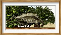 A Stegosaurus baby looks to its mother for guidance Fine Art Print