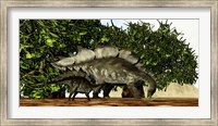 A Stegosaurus baby looks to its mother for guidance Fine Art Print