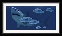 A school of fish encounter a monstrous Megalodon shark Framed Print