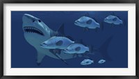 A school of fish encounter a monstrous Megalodon shark Framed Print