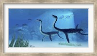 Plesiosaurus dinosaurs swimming the Jurassic seas Fine Art Print