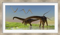 A flock of Pterosaur birds fly over two Diplodocus dinosaurs Fine Art Print