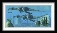 Two Suchomimus dinosaurs search for big fish prey underwater Framed Print