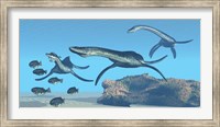 Plesiosaurus dinosaurs hunt a school of Dapedius fish Fine Art Print