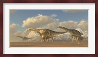 A herd of Argentinosaurus dinosaurs Fine Art Print