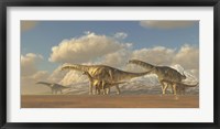 A herd of Argentinosaurus dinosaurs Fine Art Print