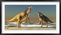 Two Parasaurolophus dinosaurs bellow at each other Fine Art Print