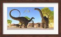 Herd of Apatosaurus dinosaurs wander through a prehistoric forest Fine Art Print
