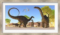 Herd of Apatosaurus dinosaurs wander through a prehistoric forest Fine Art Print