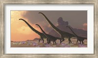 A family of Mamenchisaurus dinosaurs Fine Art Print
