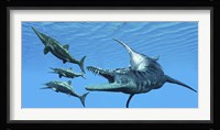 Liopleurodon reptile hunting Ichthyosaurus dinosaurs in Jurassic seas Framed Print
