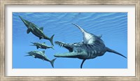 Liopleurodon reptile hunting Ichthyosaurus dinosaurs in Jurassic seas Fine Art Print