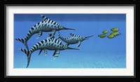 A group of fast swimming Eurhinosaurus marine reptiles Framed Print