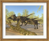 A herd of Dracorex dinosaurs walk through a carboniferous forest Fine Art Print