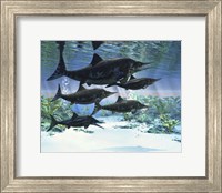 A group of Ichthyosaurs swimming in prehistoric waters Fine Art Print