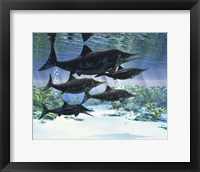 A group of Ichthyosaurs swimming in prehistoric waters Fine Art Print