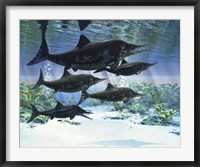 A group of Ichthyosaurs swimming in prehistoric waters Fine Art Print