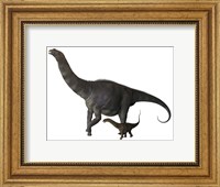 An Argentinosaurus and juvenile Fine Art Print