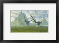 Diplodocus dinosaurs walk together in the afternoon in the prehistoric age Fine Art Print
