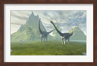 Diplodocus dinosaurs walk together in the afternoon in the prehistoric age Fine Art Print